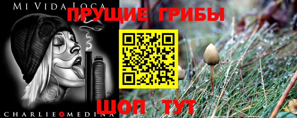 Псилоцибиновые грибы прущие грибы Комсомольск-на-Амуре
