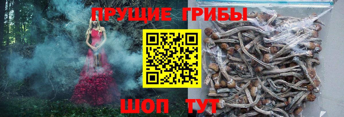 Псилоцибиновые грибы Psilocybine cubensis  Вход с VPN  Комсомольск-на-Амуре 